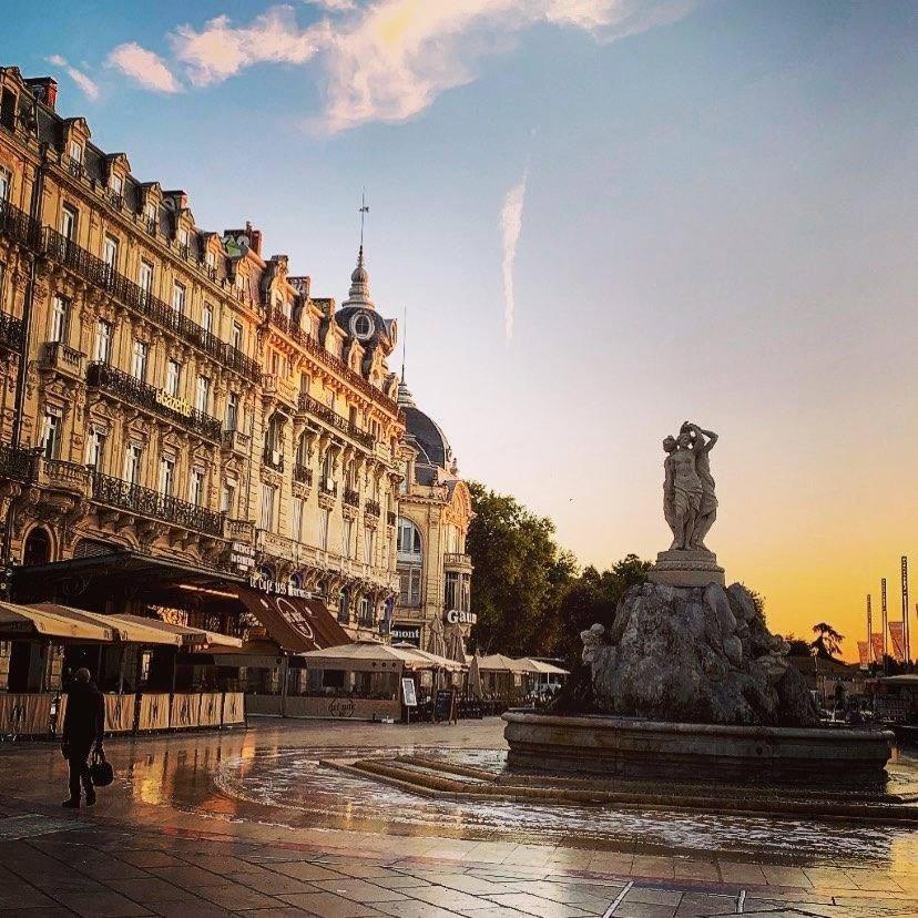 Le Cocon Montpellierain By Smartappart Montpellierain - Jardin Proche Corum Exterior foto